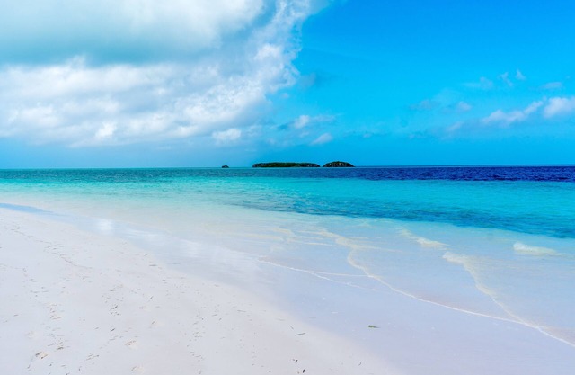 Escape to 'This Is It' Your Ultimate Beachfront Retreat