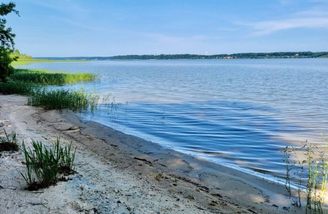 “Eufaula Cottage” Charming Lakefront Cottage
