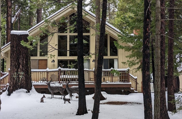 Evergreen Pinecone Cottage Hot Tub Firepit, Espresso, Couples Love It!