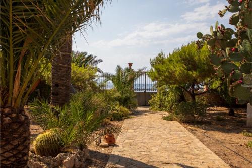 Evgenia's Seafront Studio Aegina