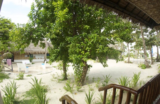 Evolution Dive and Beach Resort