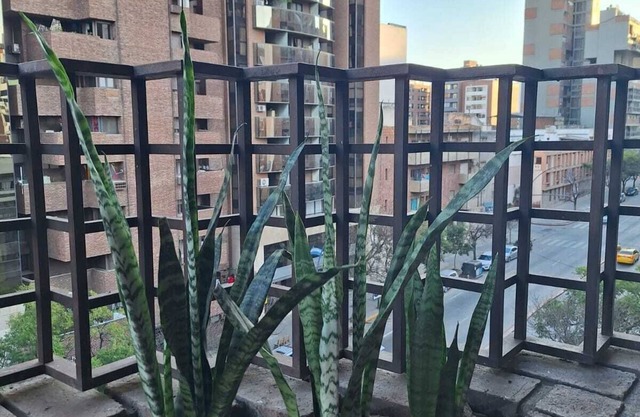 Excellent apartment. Olmos Courtyard