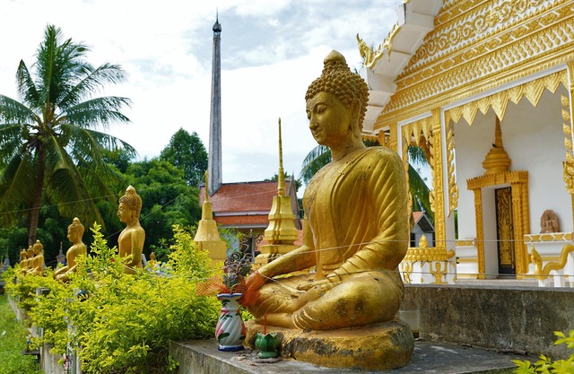 Why Visit Koh Samui in February 2025: Perfect Island Climate & Festivals