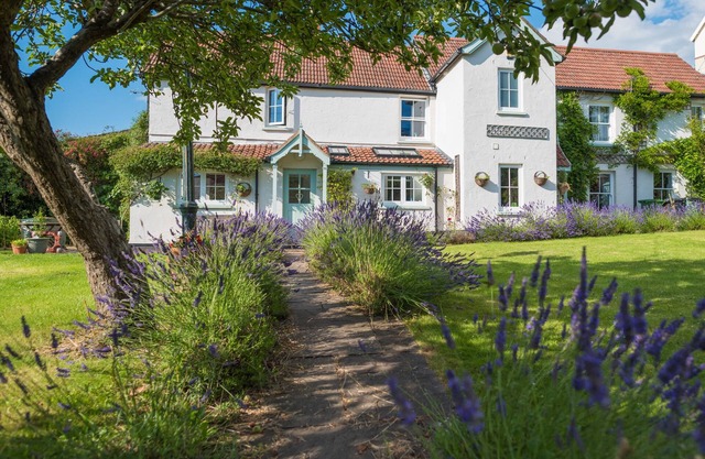 Fab big house near Devon’s surf beaches. Village centre and well equipped.