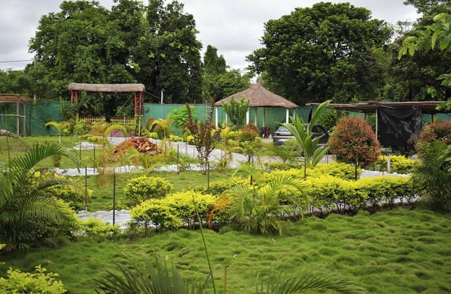 Falcon Jungle Resort