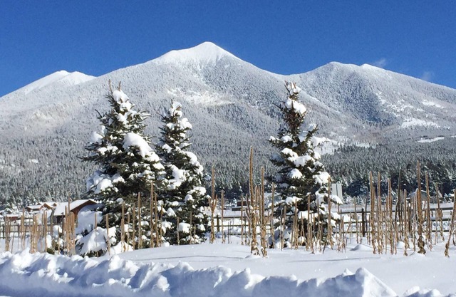 Fall in Flagstaff is here, the leaves are changing! This weekend is available!