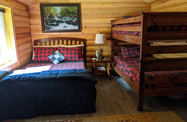 Family Cabin in the Woods, See the Northern Lights