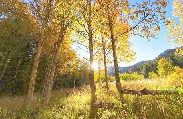 Family Glamping Escape 2 Queens + Twin Bed