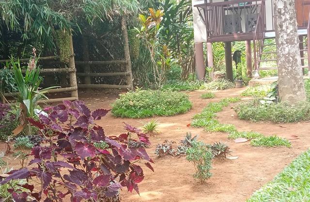 Family villa is a hut style accommodation