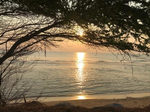 Fantastic pool villa