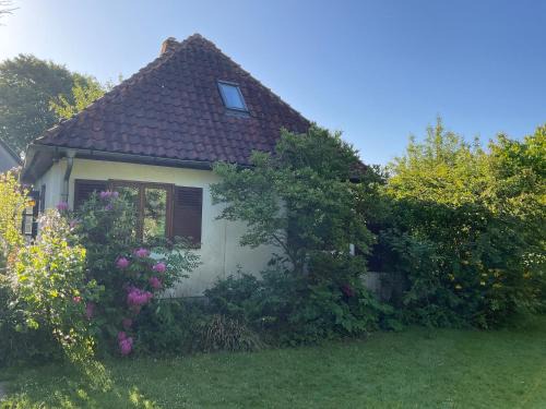 Ferienhaus Tätendorf für die ganze Familie