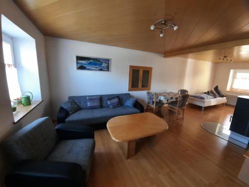 Ferienwohnung Hewenpanorama 1