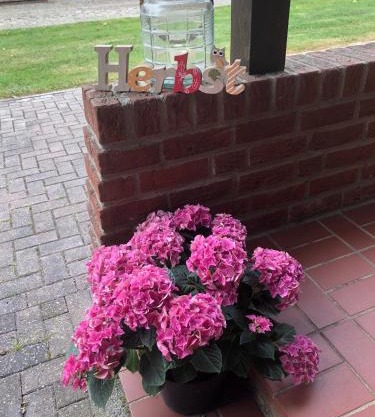 Ferienwohnung Kalle