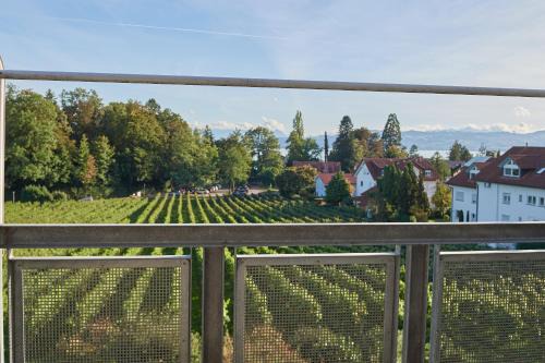 Ferienwohnungen Weingut Deufel