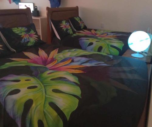 FINAU 685 Accommodations