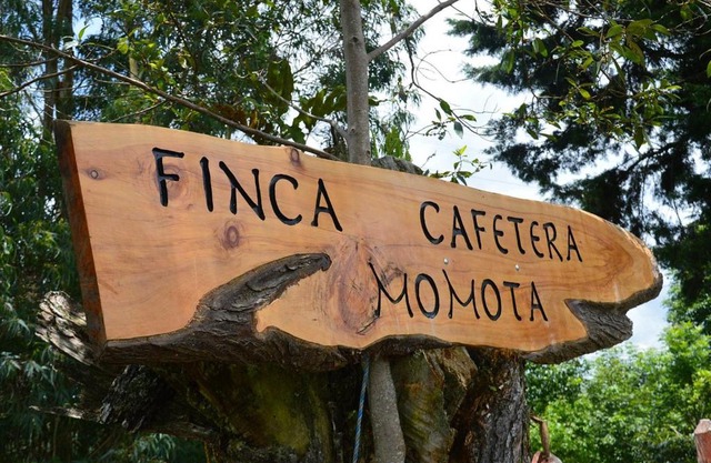 Finca Momota Salento
