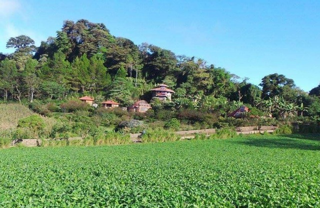 Finca Neblina del Bosque