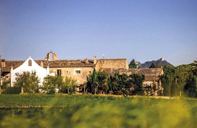 Finca Son Valls