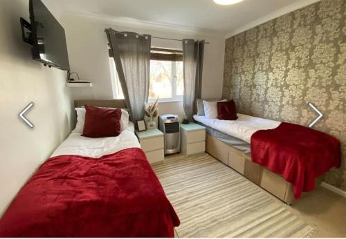 Flamingo Short Lets Greenleys