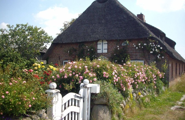 Flat in Friesenhaus Dikhü