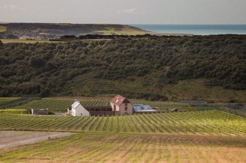 Flint Barns, Rathfinny Wine Estate