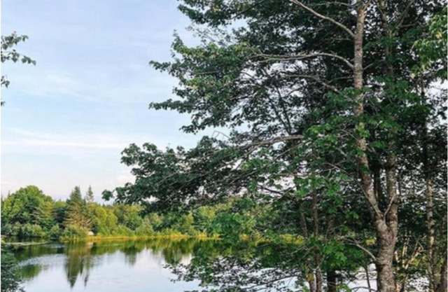 Flora Studio on the Lake