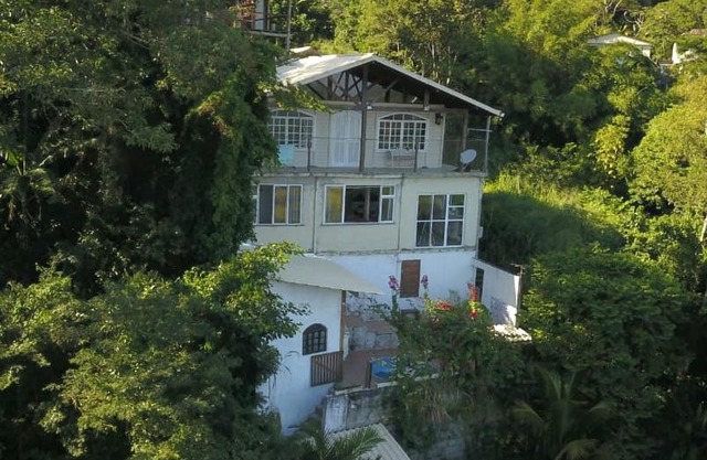 Floresta Tropical