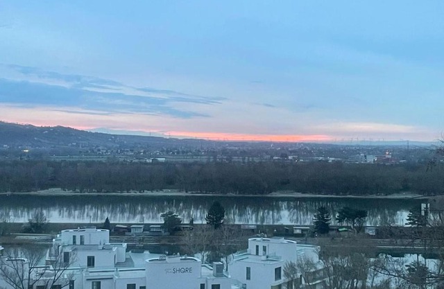 Flying Vienna