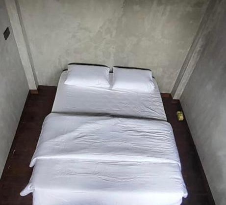 Forest edge cabin in Pattipola