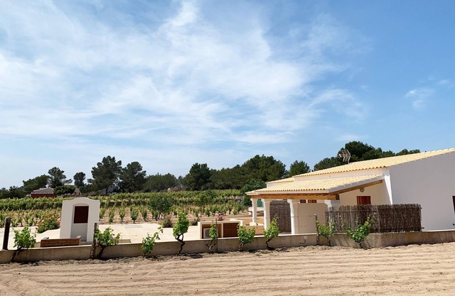 Formenteranatural. Rural apartment 2 km from Sant Francesc.