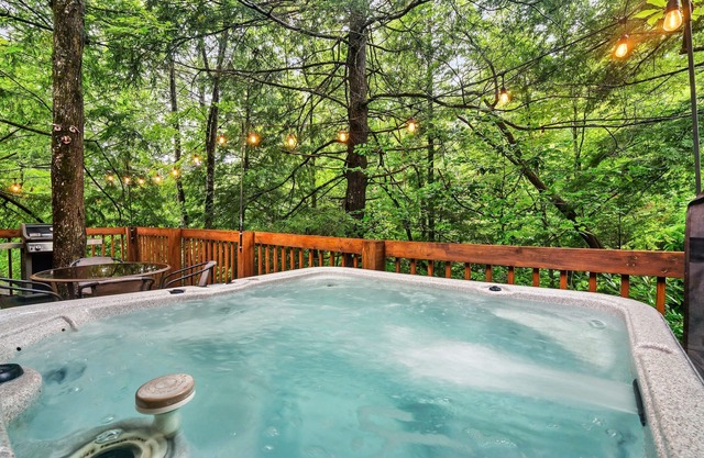 Free Dollywood Tix/Arcade/A+Location/Hot Tub