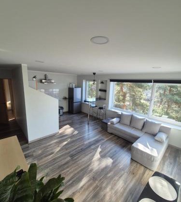 Friendly Apartment