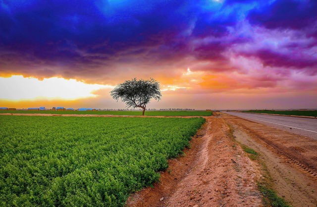 Friendly service and value in south central Los Angeles!