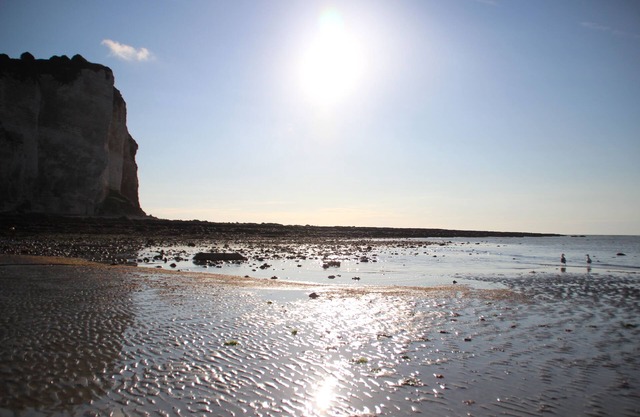 Front de mer 2, apartment with full sea view at Les Petites Dalles