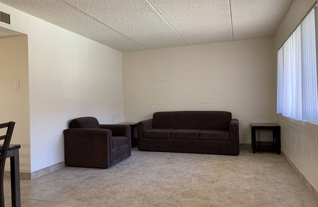 Furnished 2bd/2bth Apt walking distance from UofA
