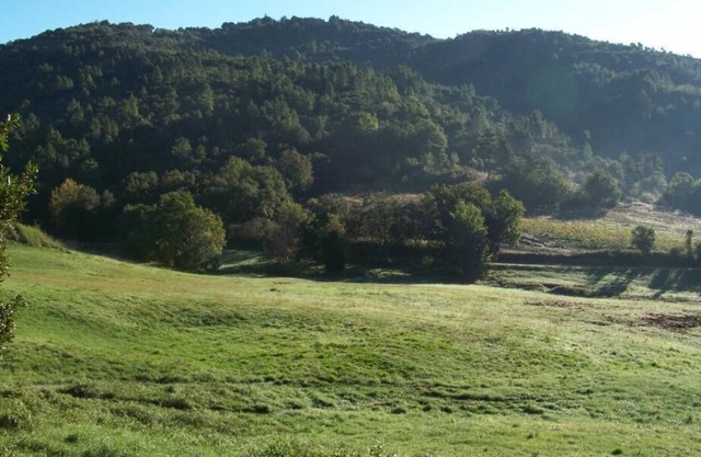 Gîte de Tanneron lumiran d'or