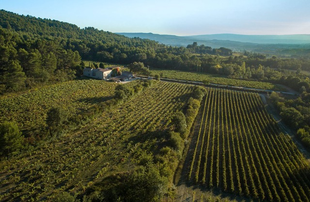 Gîte du Vignoble Château Saint Pons in the Luberon Natural Park