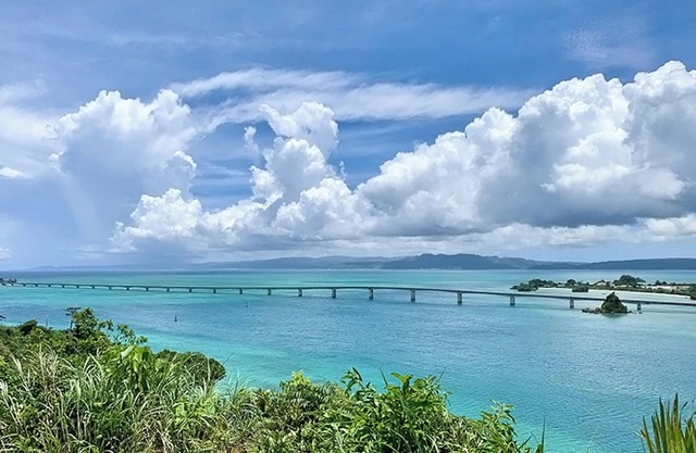 Gajumaru Building JapaneseWestern style room /Kunigamigun Okinawa