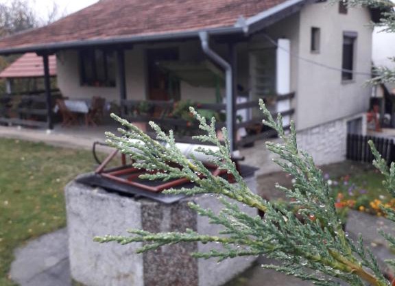 Galerija Jovanović