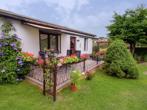 Gartenwohnung in Hasselfelde