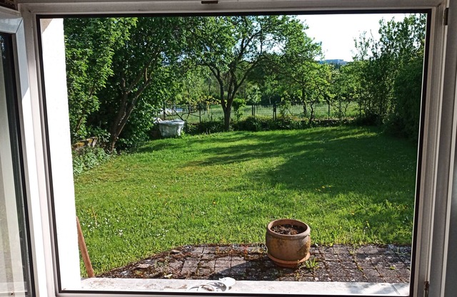 Gemütliches Studio am Park in Stadtnähe