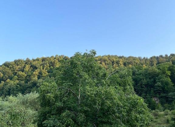 GETi DZOR Home