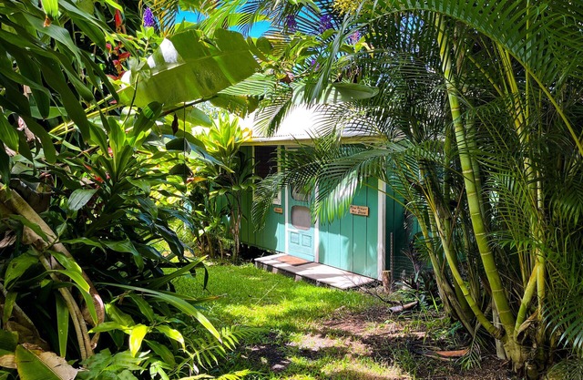 Gingerhill Farm Retreat. Commune with Nature In South Kona.
