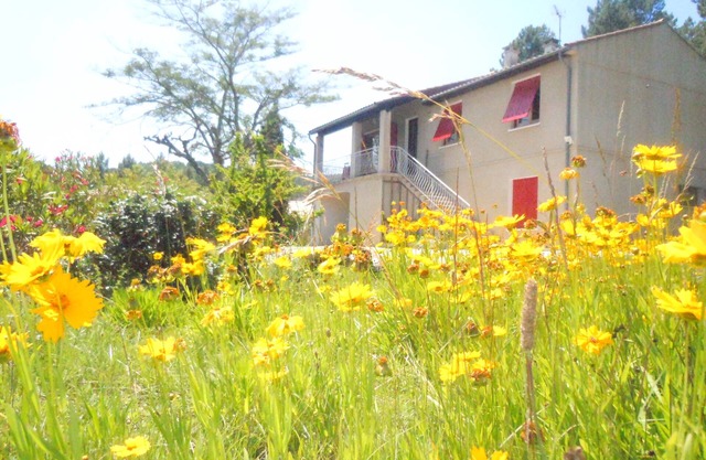Gîte LE BOUFFAYOU - Detached house with large garden