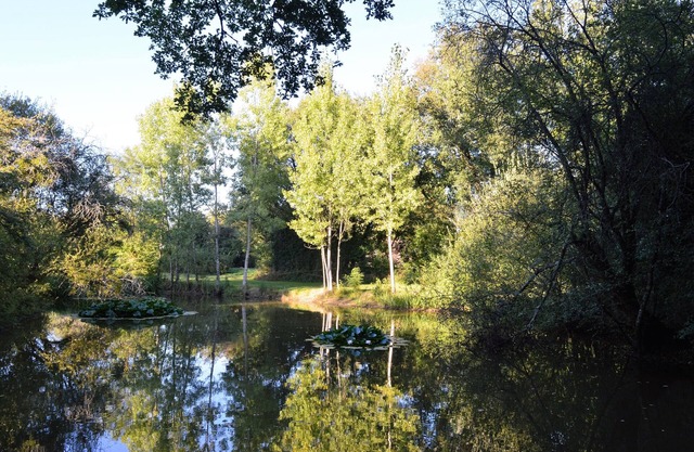 Gite with private pool in savigné