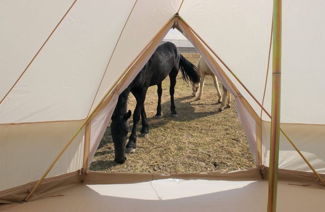 Glamping 2 + Luz de las Estrellas en el Rancho