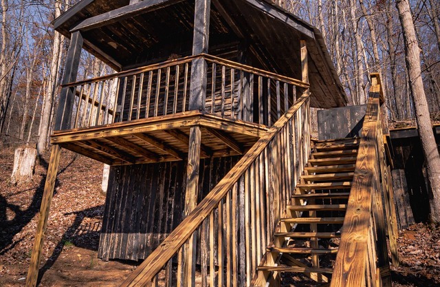 Glamping Cabin | Huge Window | Cliff and Animal Views