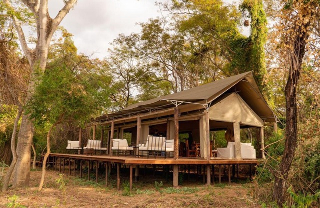 Glamping Los Palmares