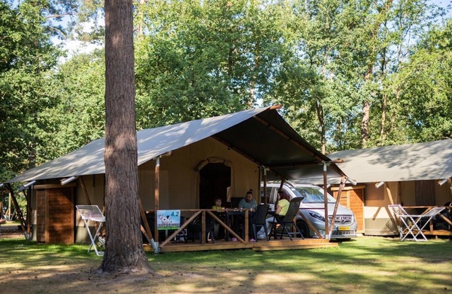 Glamping on a site with many facilities and pool