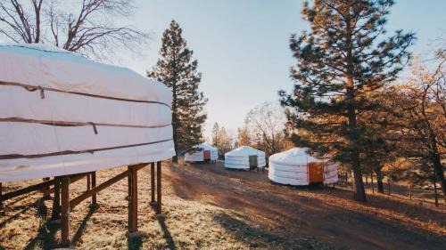 Glamping yurt at a nature retreat near Sequoia
